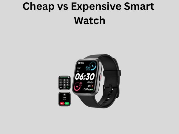 Cheap vs Expensive Smart Watch